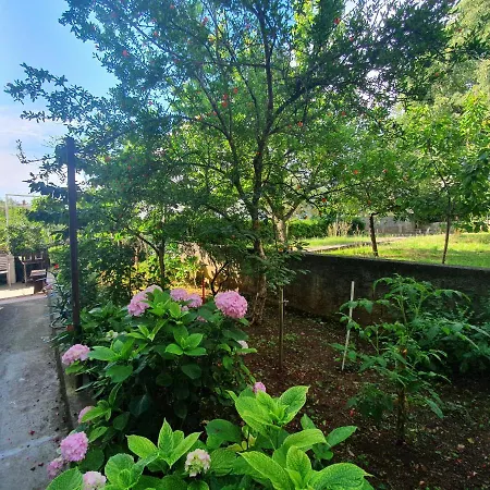 Peaceful 30 Meters From Sea *